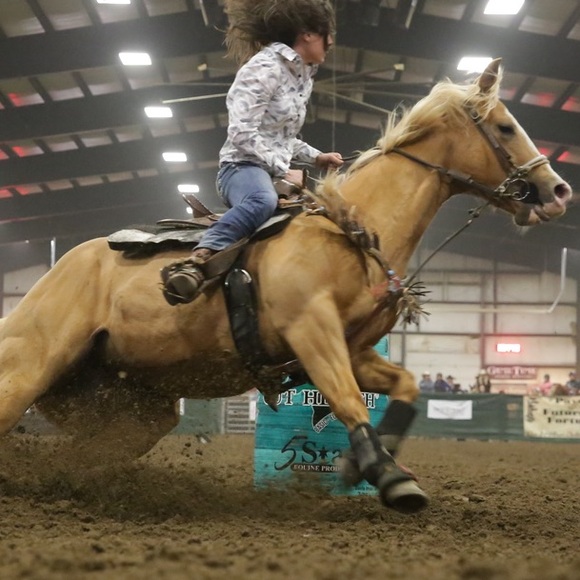 Meet your Posher, Taylor - Picture 1 of 1